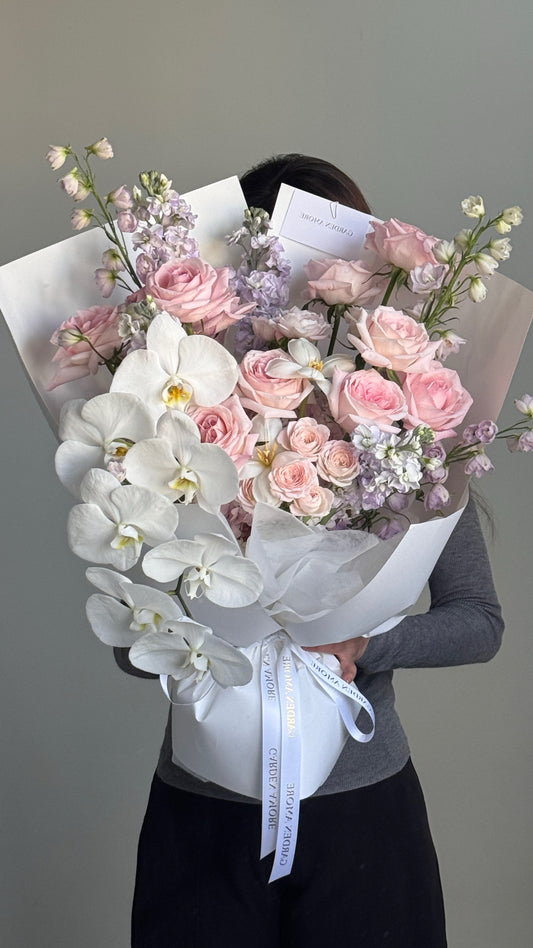 Maison Lumiere Rose