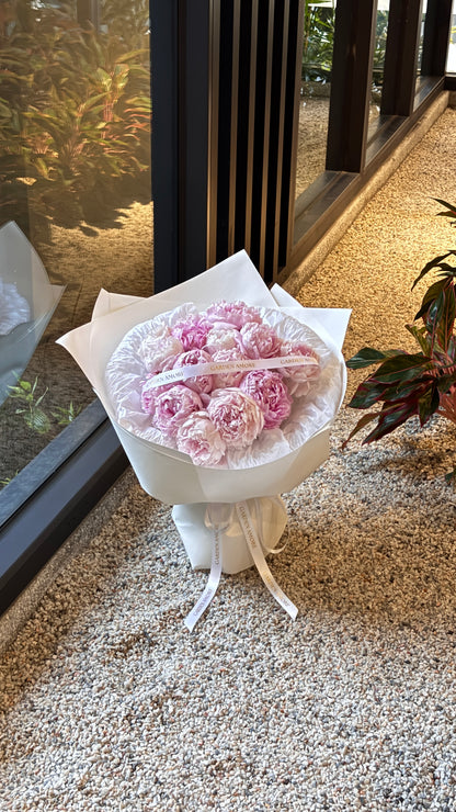 Blush Peony